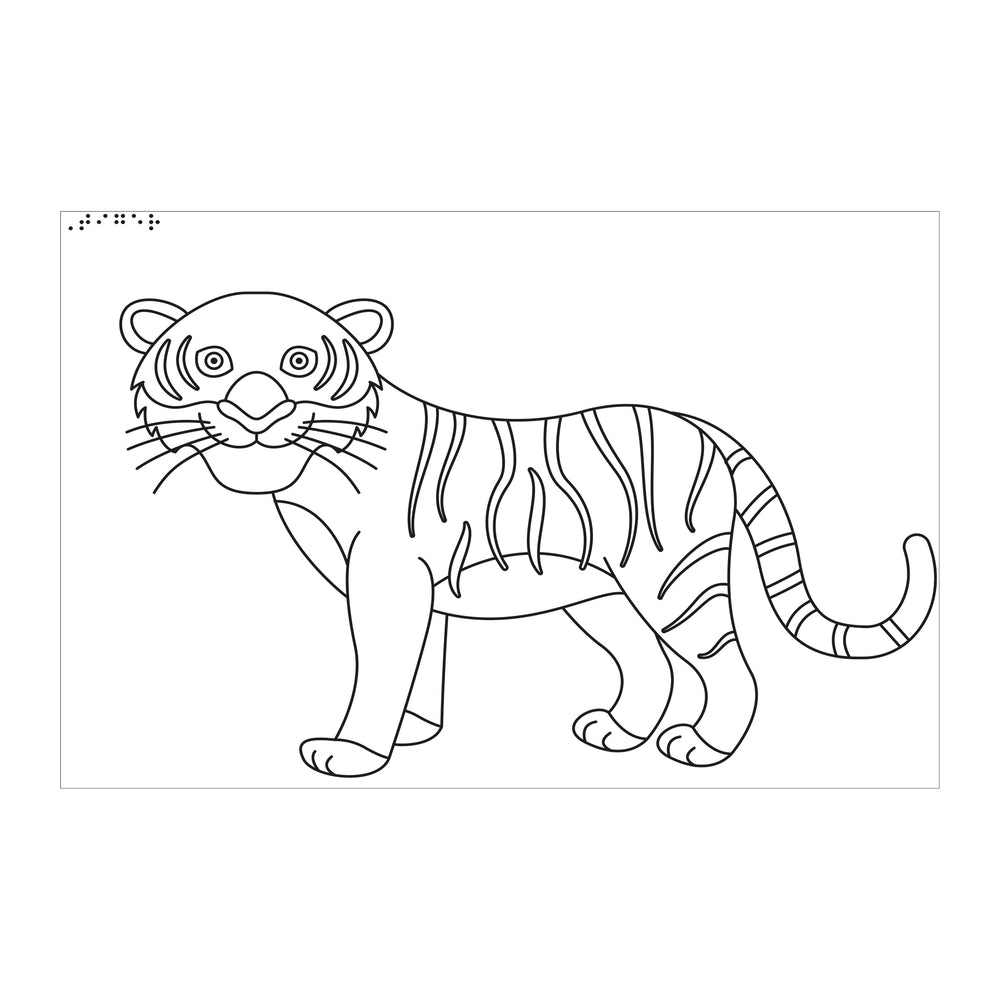 Tactile drawing of a tiger for colouring in