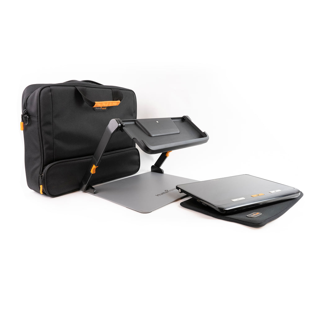 The magnifier, the writing stand and the carry case.